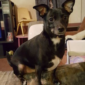 Meet your Posher, Debra